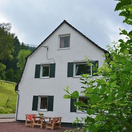 Haus Elpe Naehe Meschede Winterberg Villa Olsberg Luaran gambar