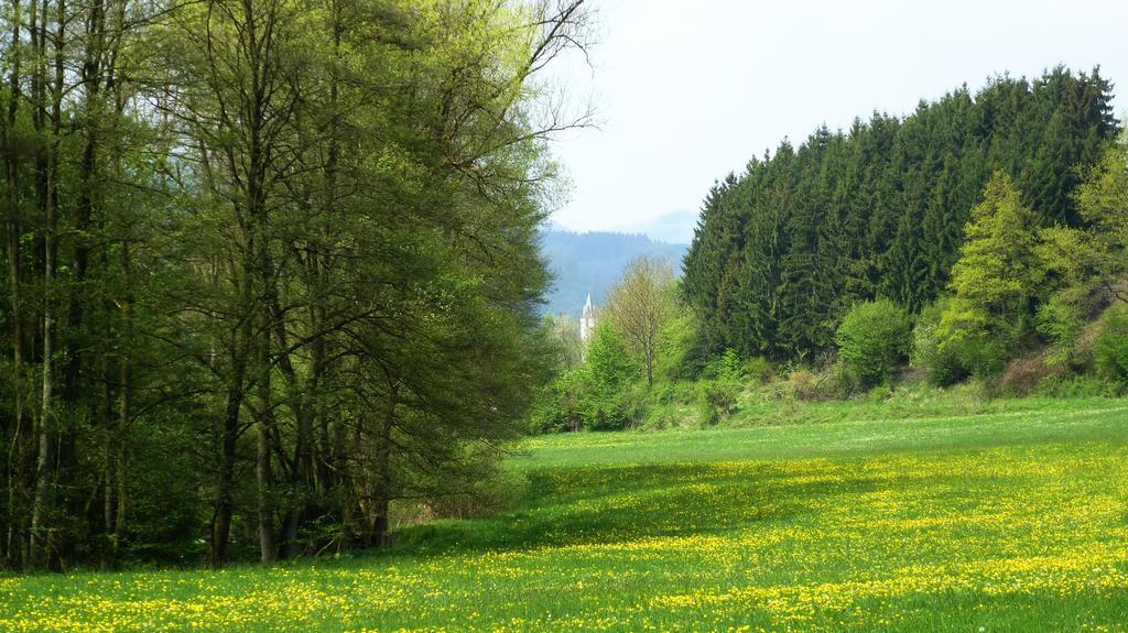 Haus Elpe Naehe Meschede Winterberg Villa Olsberg Bilik gambar